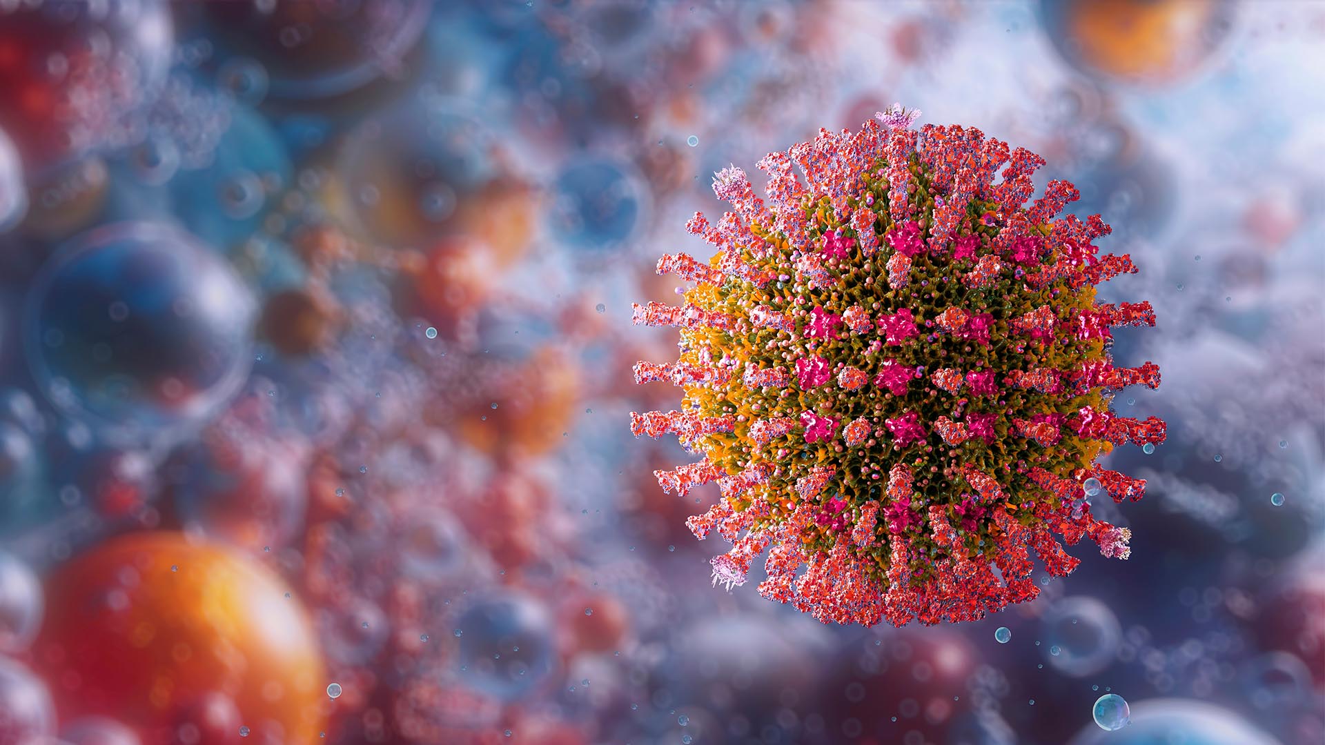 Article - Measles Update