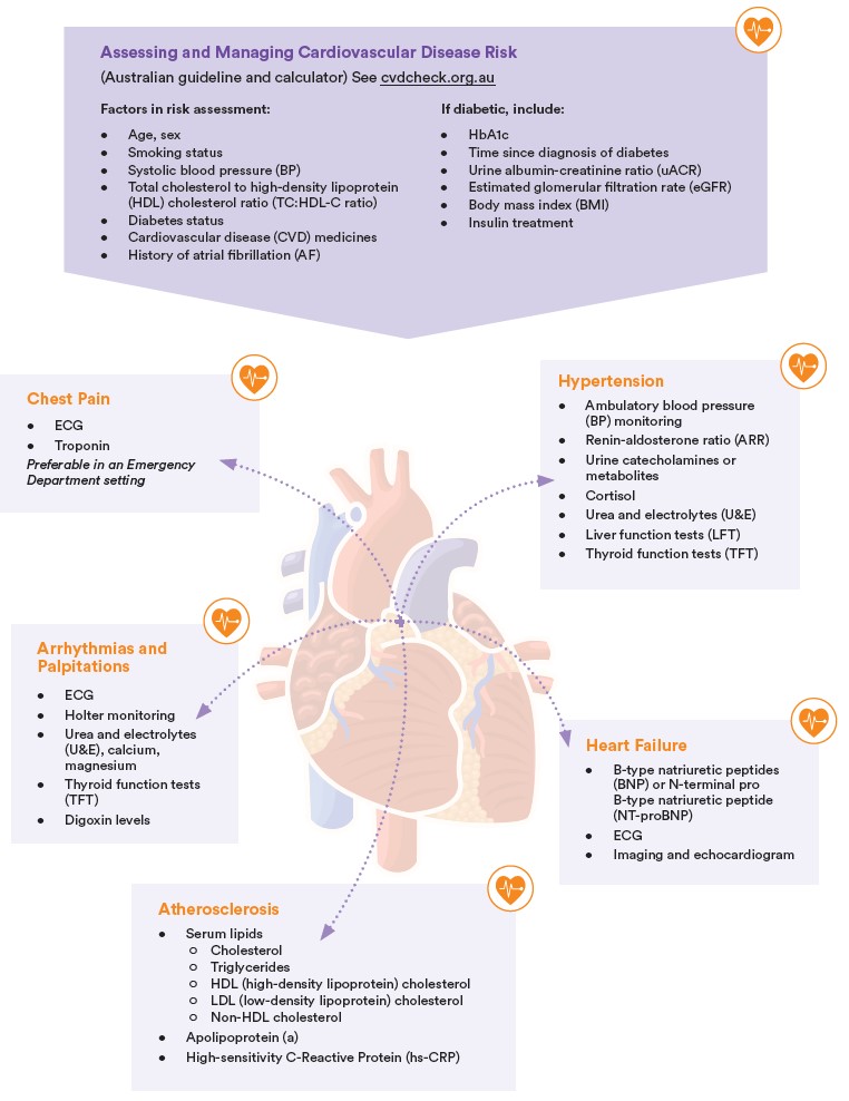 Cardiac Testing Infographic March 2025