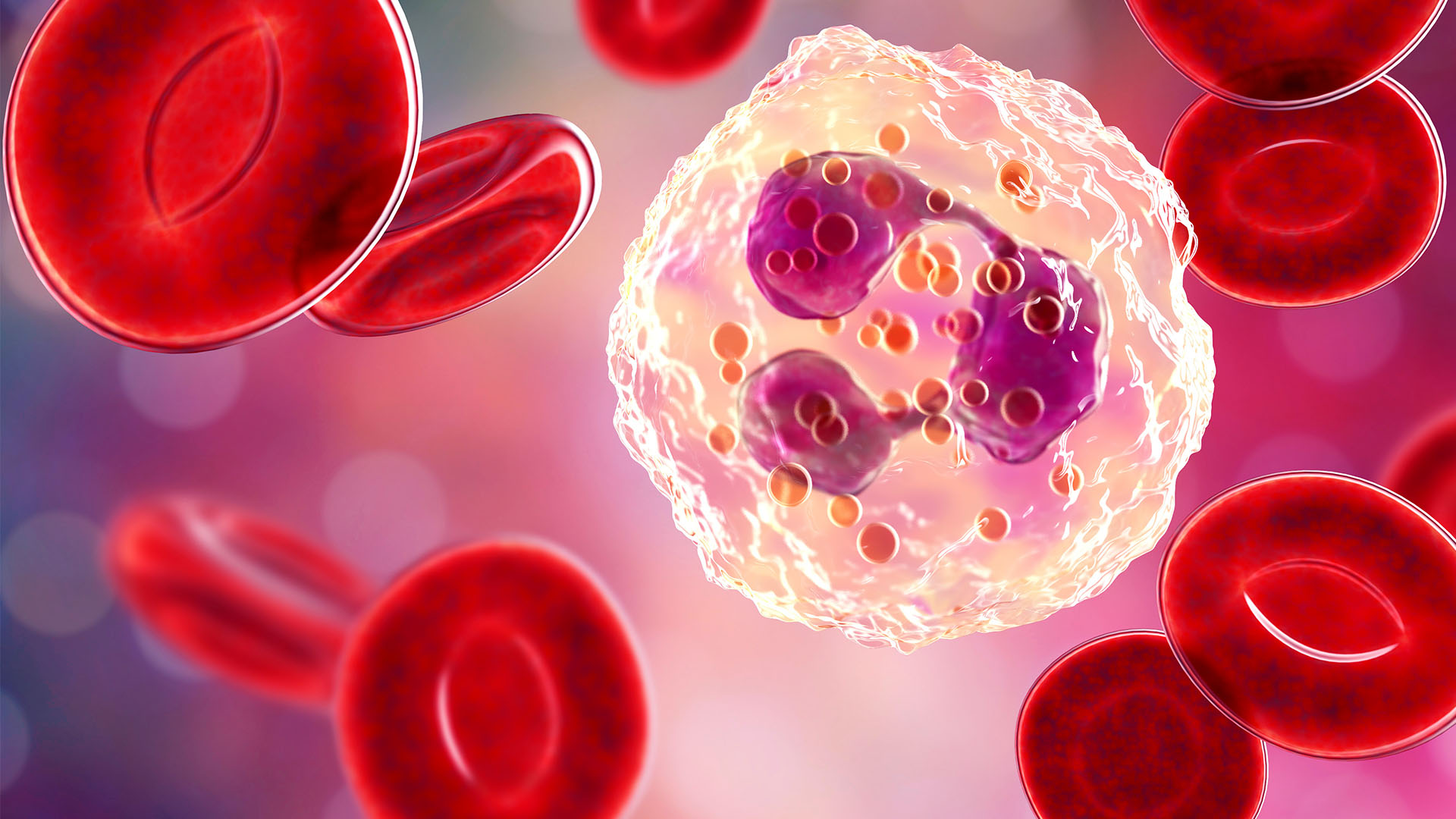 Dec 2021 - Understanding neutropenia