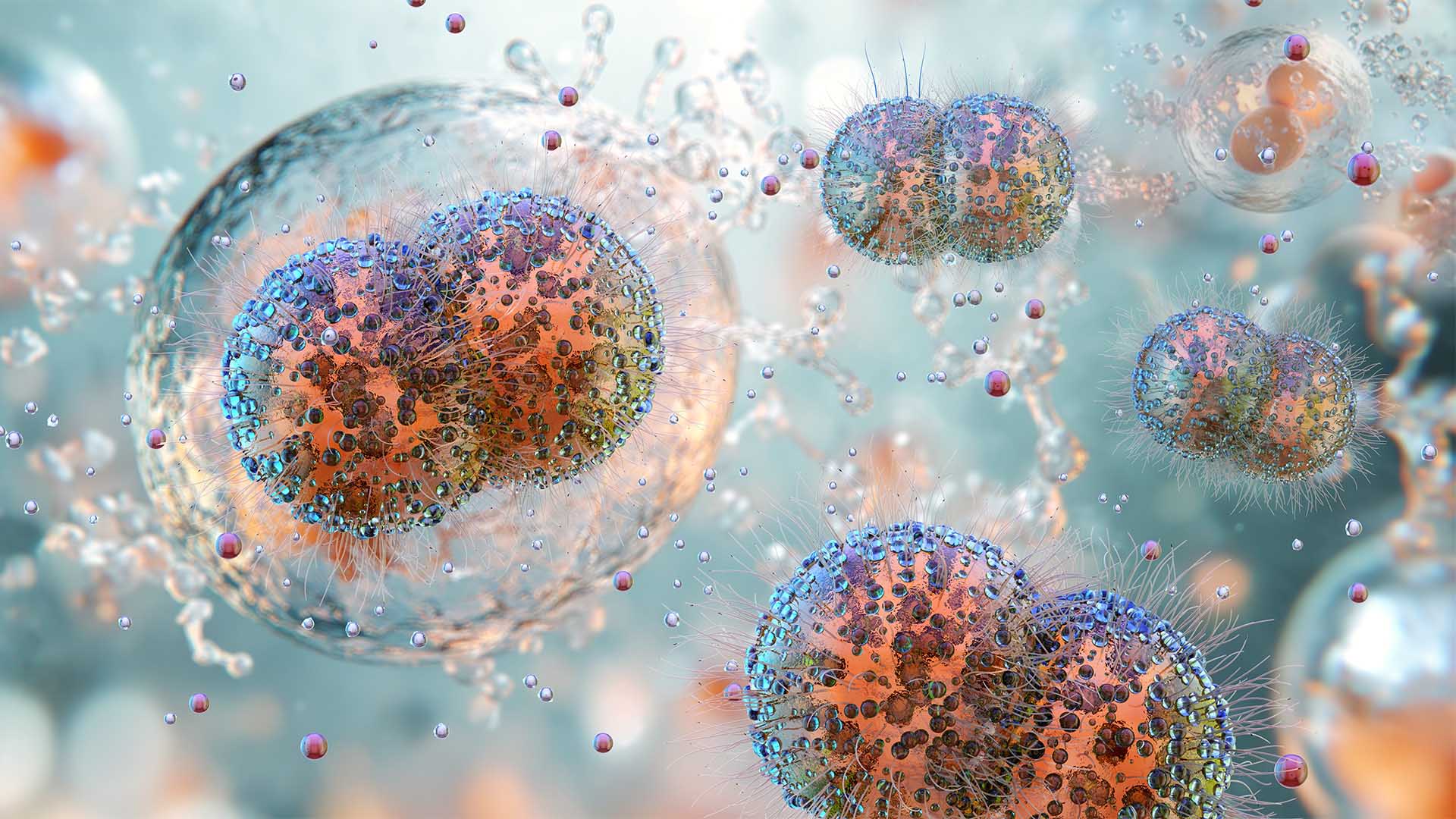 December 2024 Pathology Focus STI