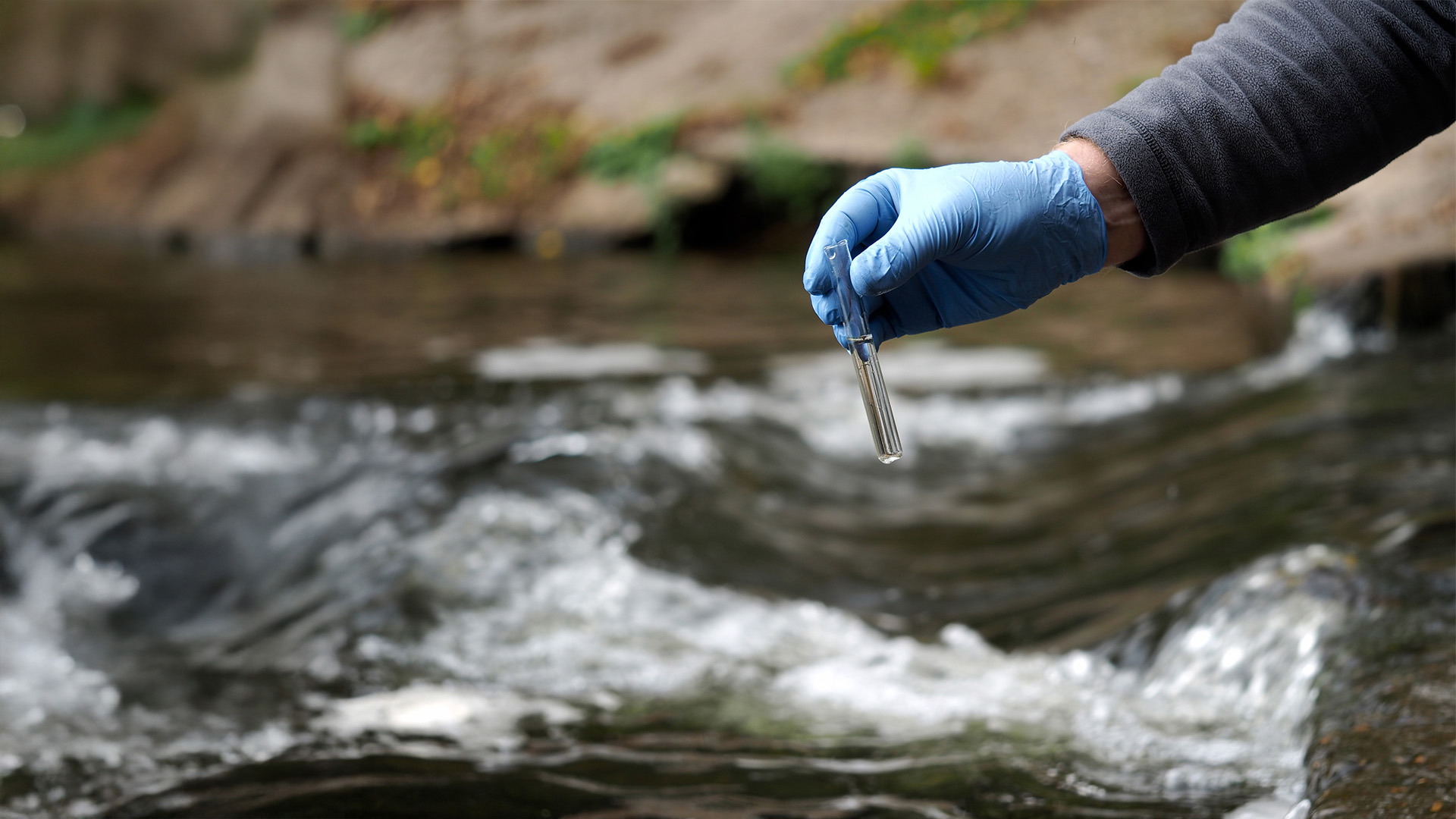 Environmental water testing