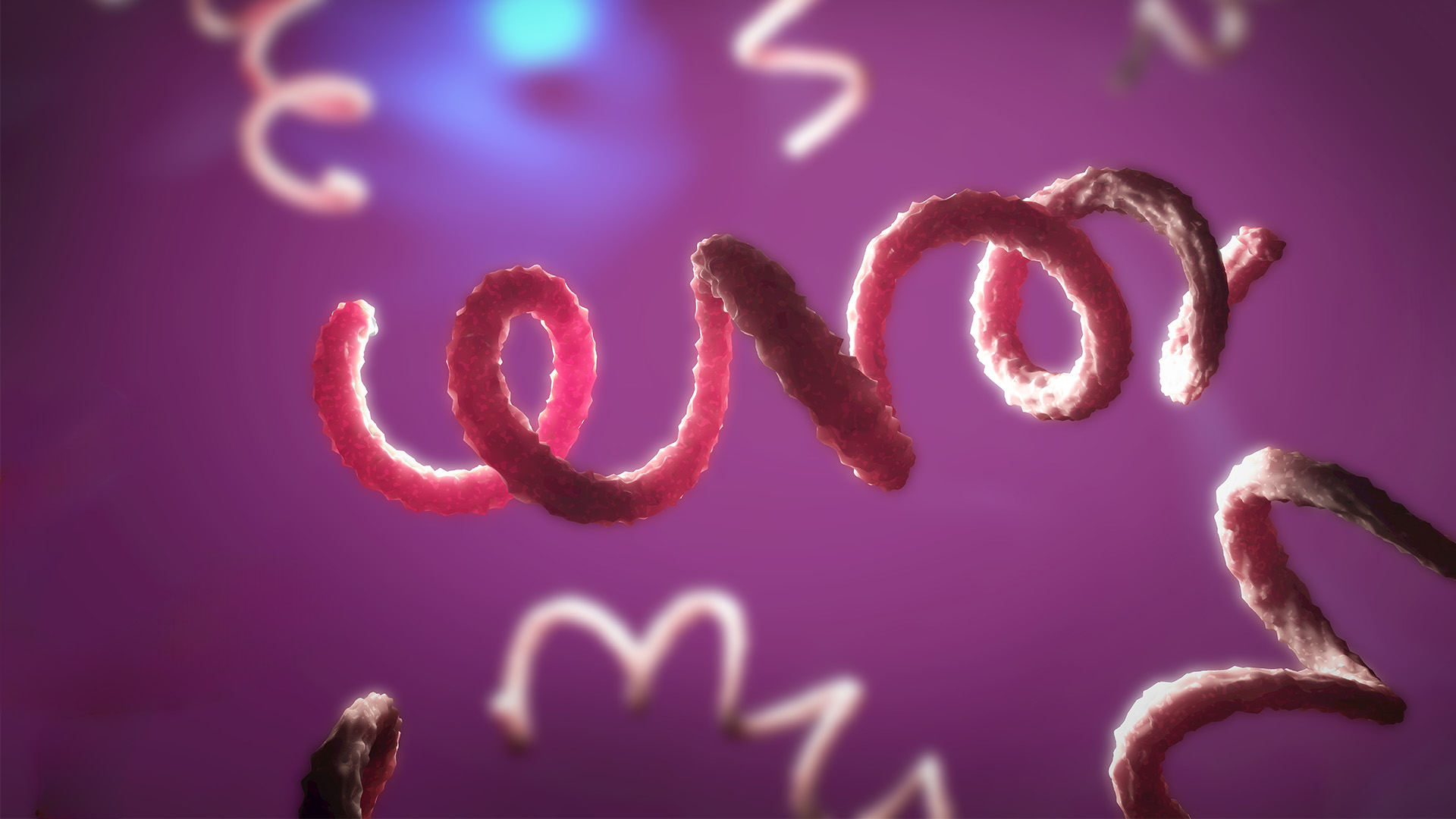 June 2021 - Syphilis