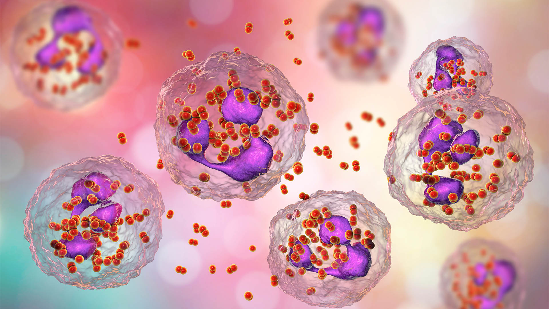 Sexual Health Patient