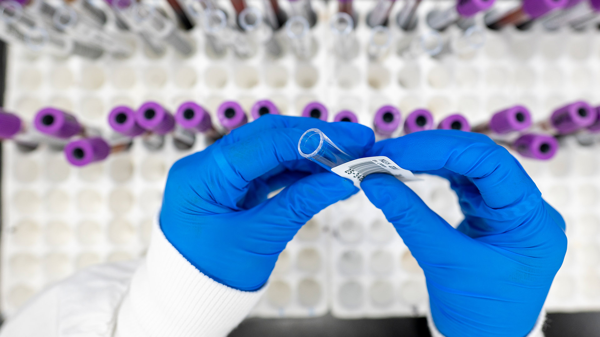 Terms and Conditions